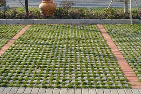 1647243739118219.jpg 1-2102221621590-L.jpg