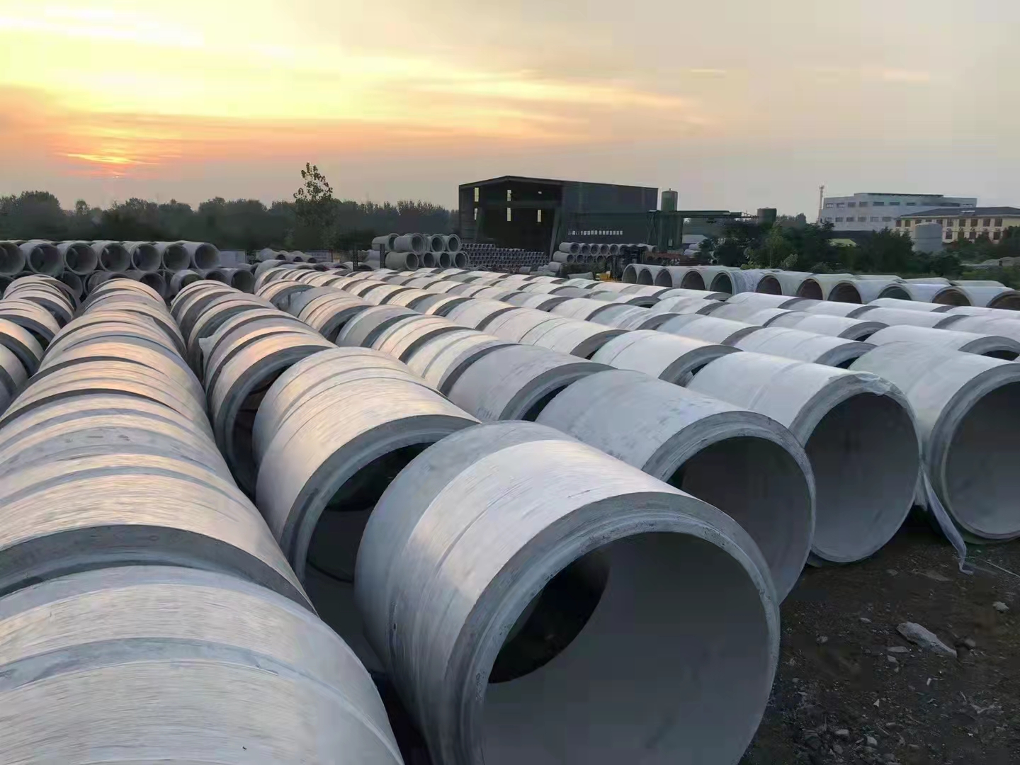 1647410712135440.jpg 999.jpg